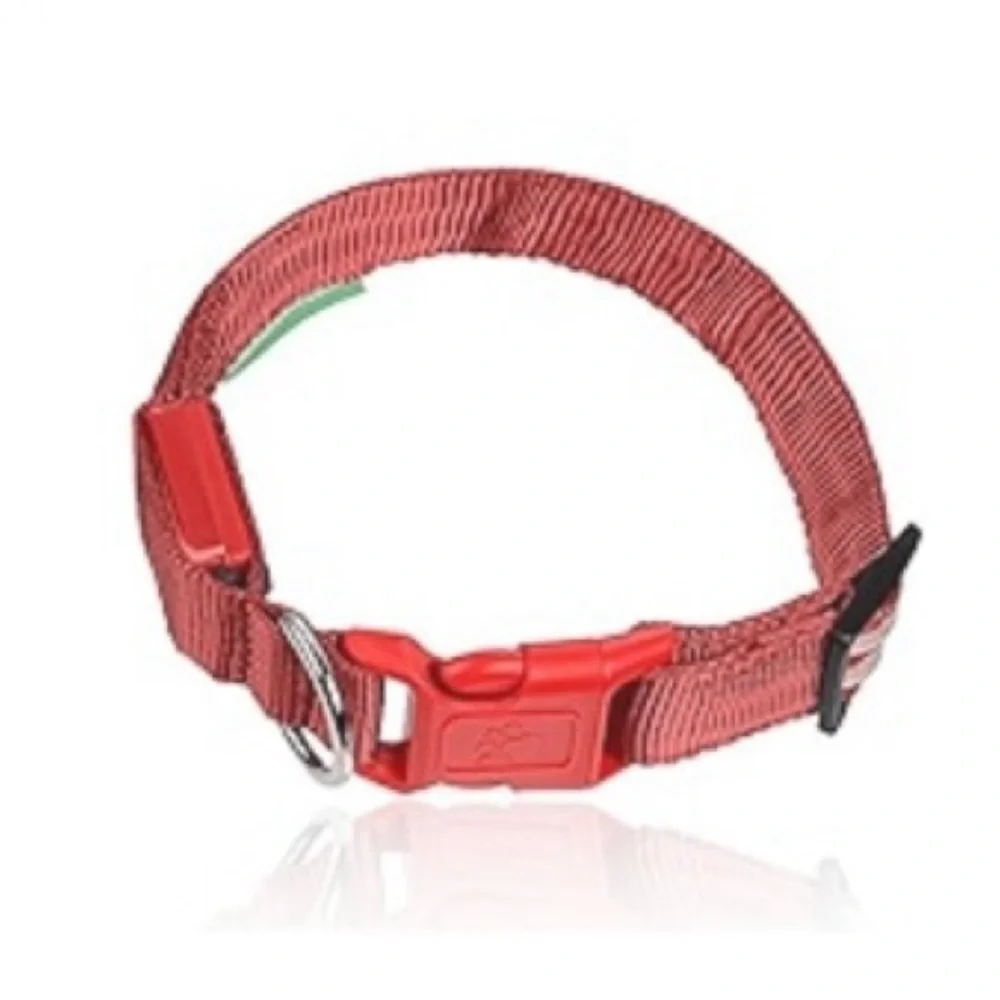 LED light up adjustable glow in the dark dog collar red size medium